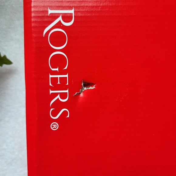 KIM ROGERS Faux Brown Faux Snakeskin Low Heel Brandi Booties | Size 8 (NIB) - Picture 7 of 7